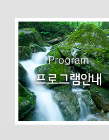 프로그램안내