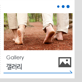 갤러리